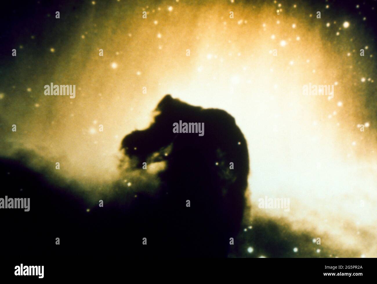 The Horsehead Nebula in the Orion Constellation Stock Photo - Alamy
