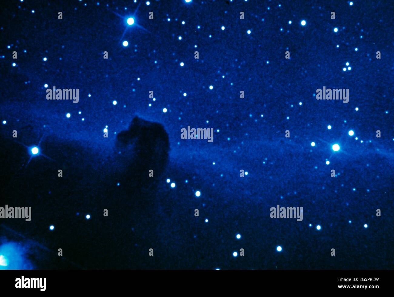 The Horsehead Nebula in the Orion Constellation Stock Photo Alamy