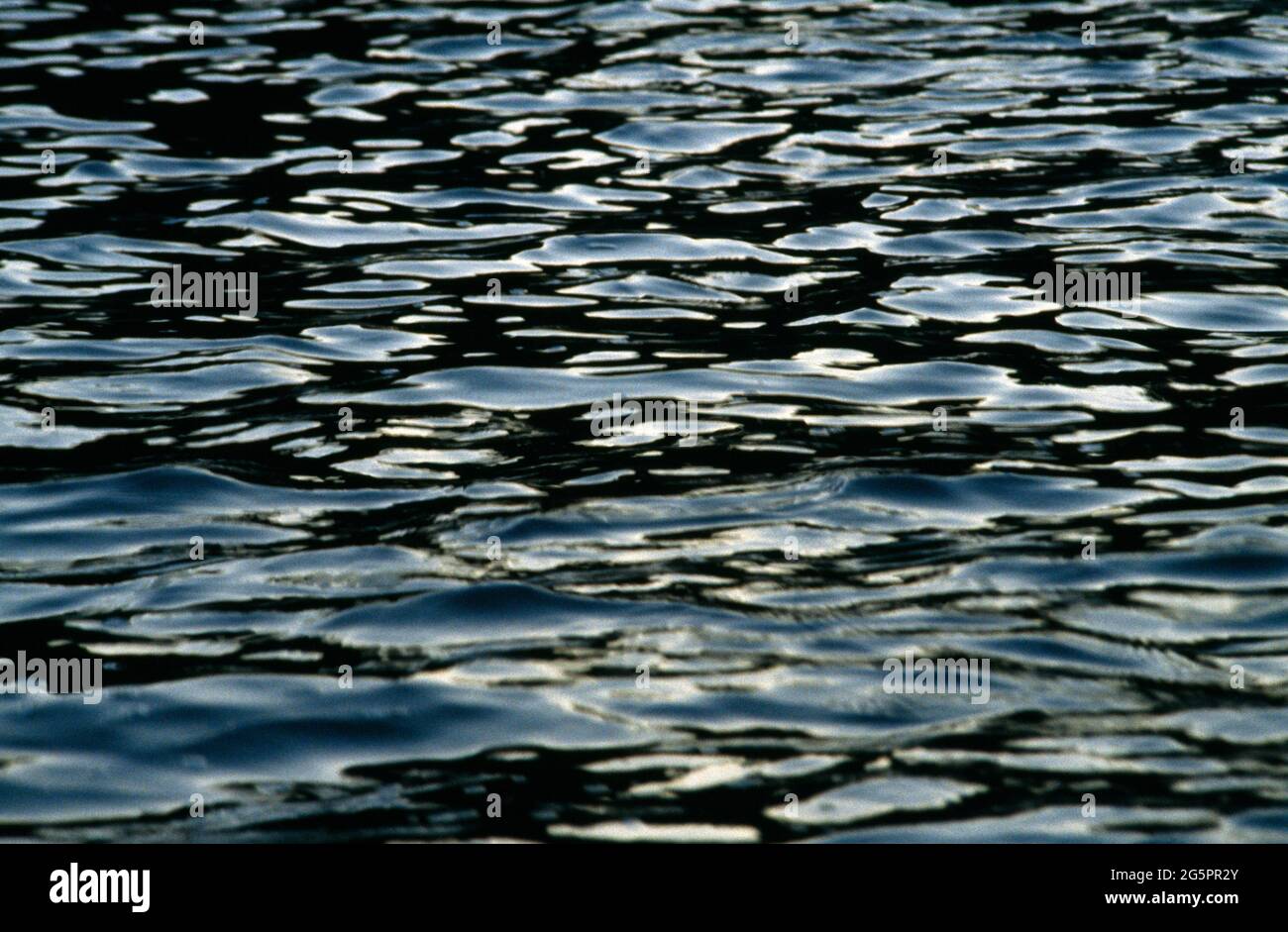 Close up of Ripples in Water at Caroni Swamp Trinidad Stock Photo