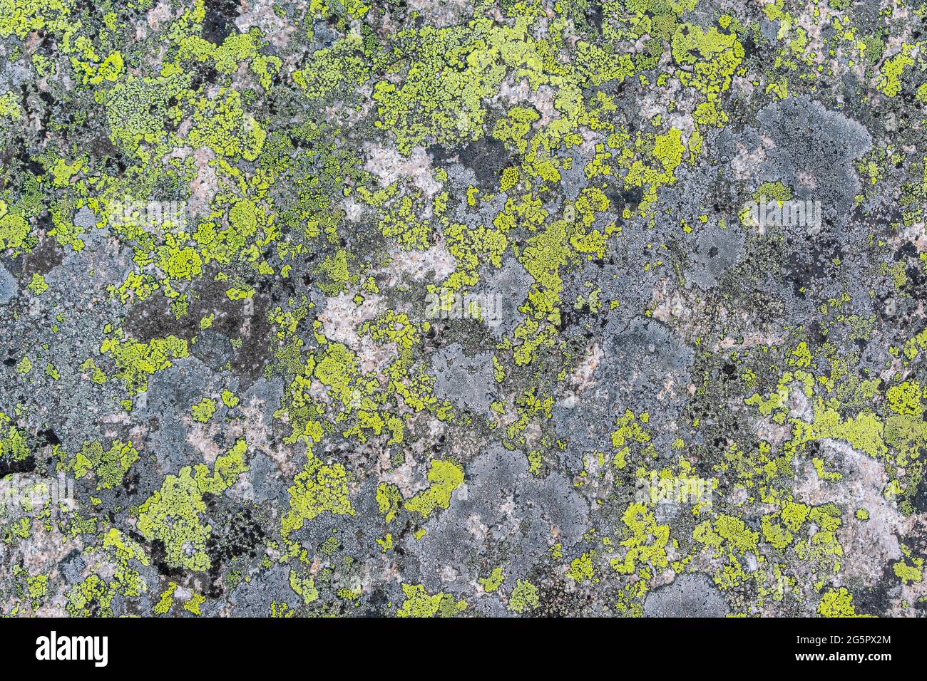 Green Bloom Granite: The Eco-Friendly Choice for Luxury Surfaces