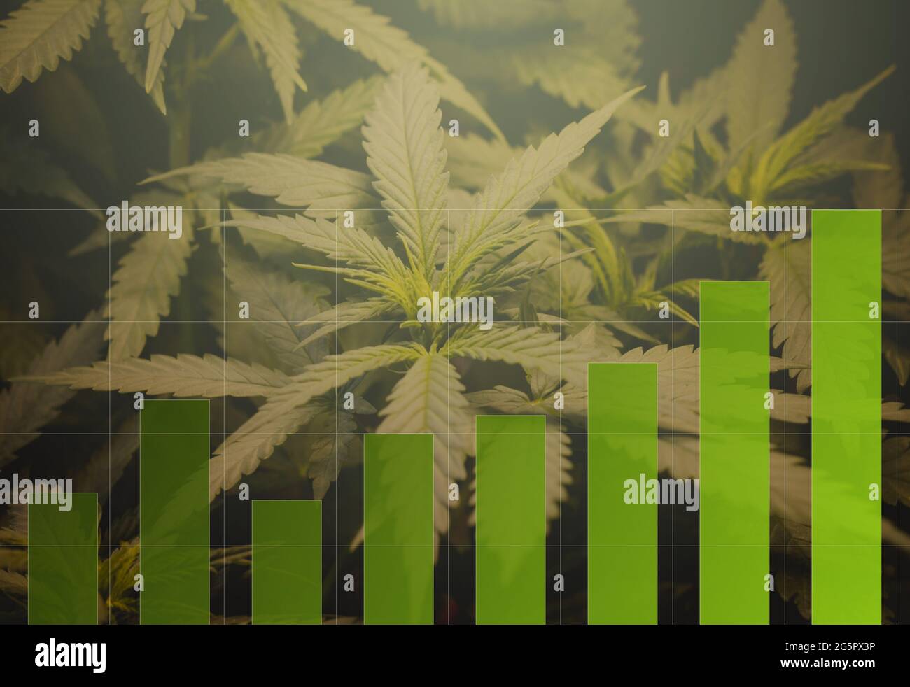 Cannabis marijuana investment indicator graph charts. The concept of a(09)