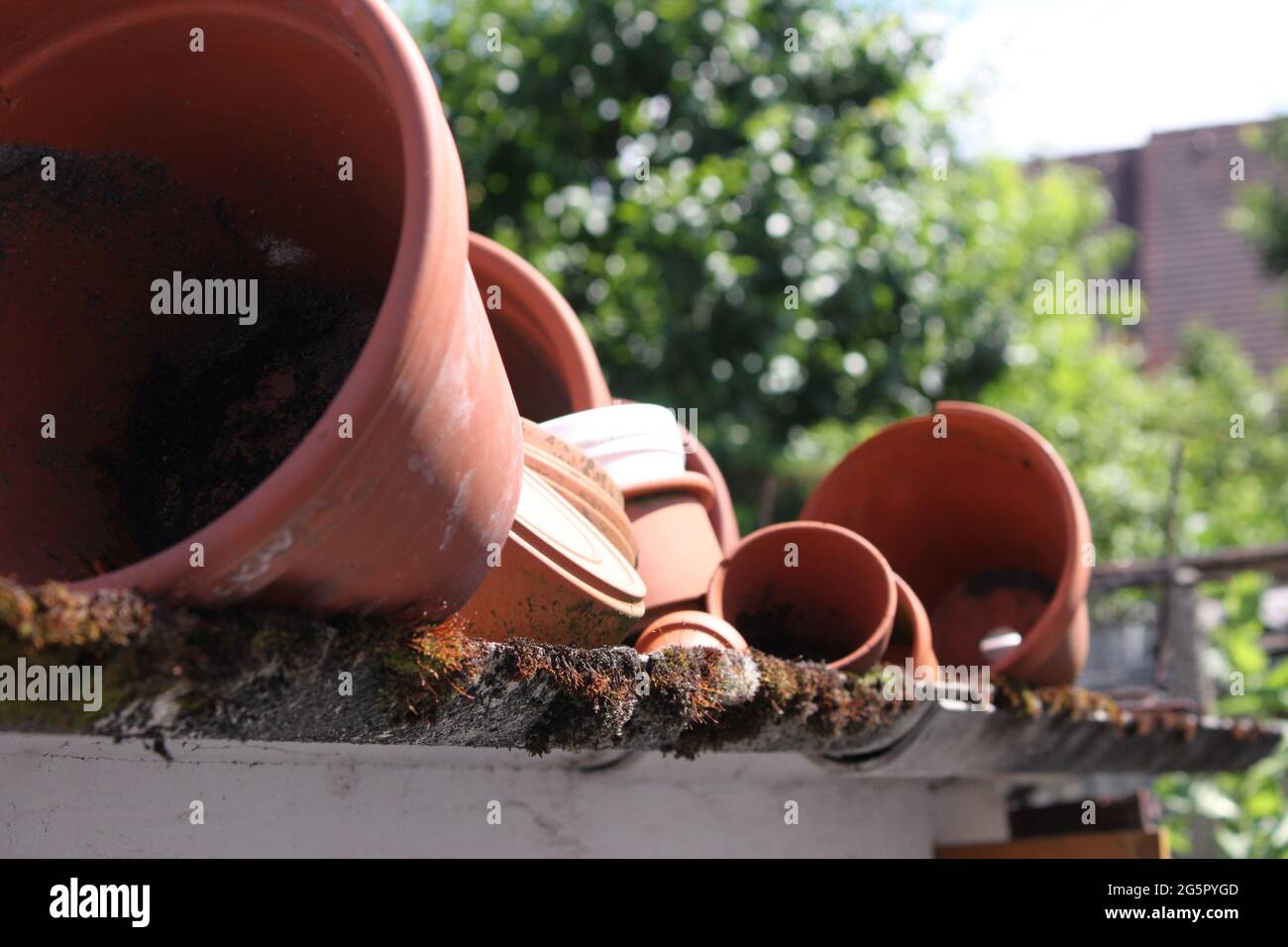 flowerpots on gardenshed roof, Germany Stock Photo