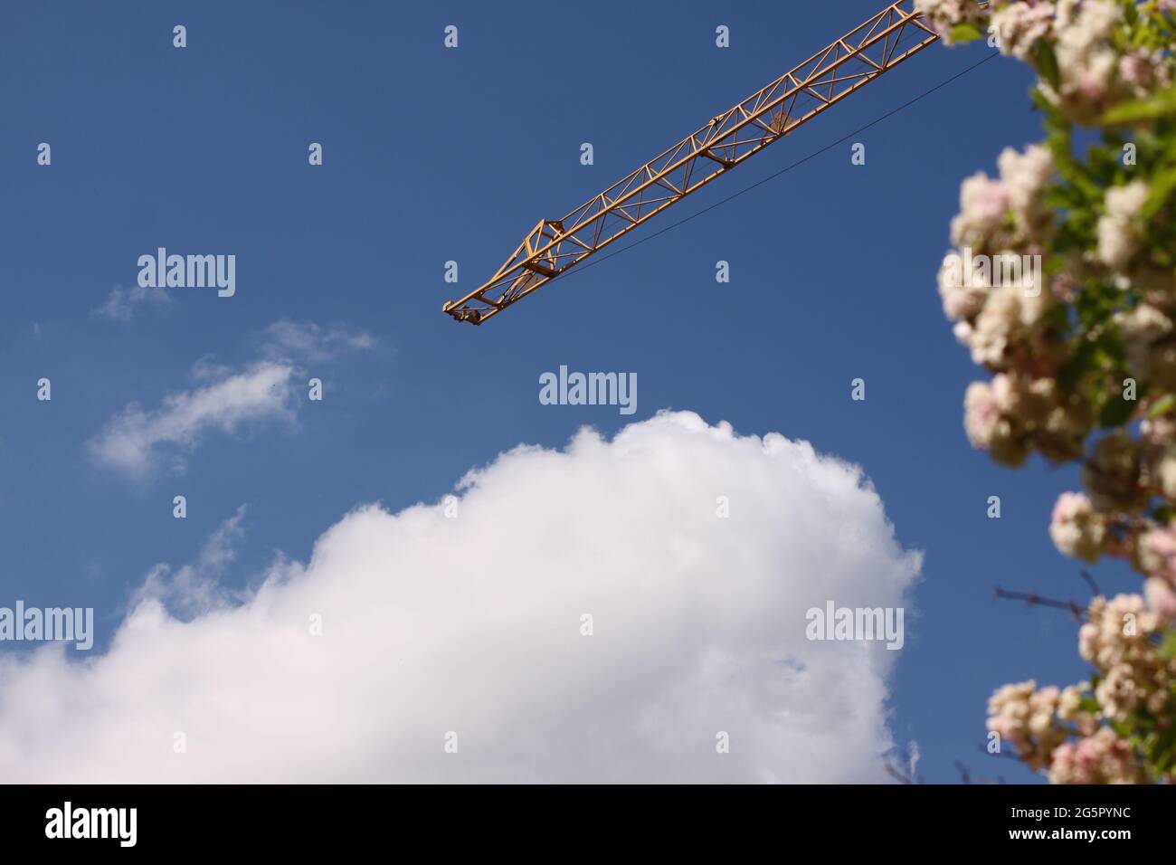 building crane with blue sky and bush, Germany Stock Photo