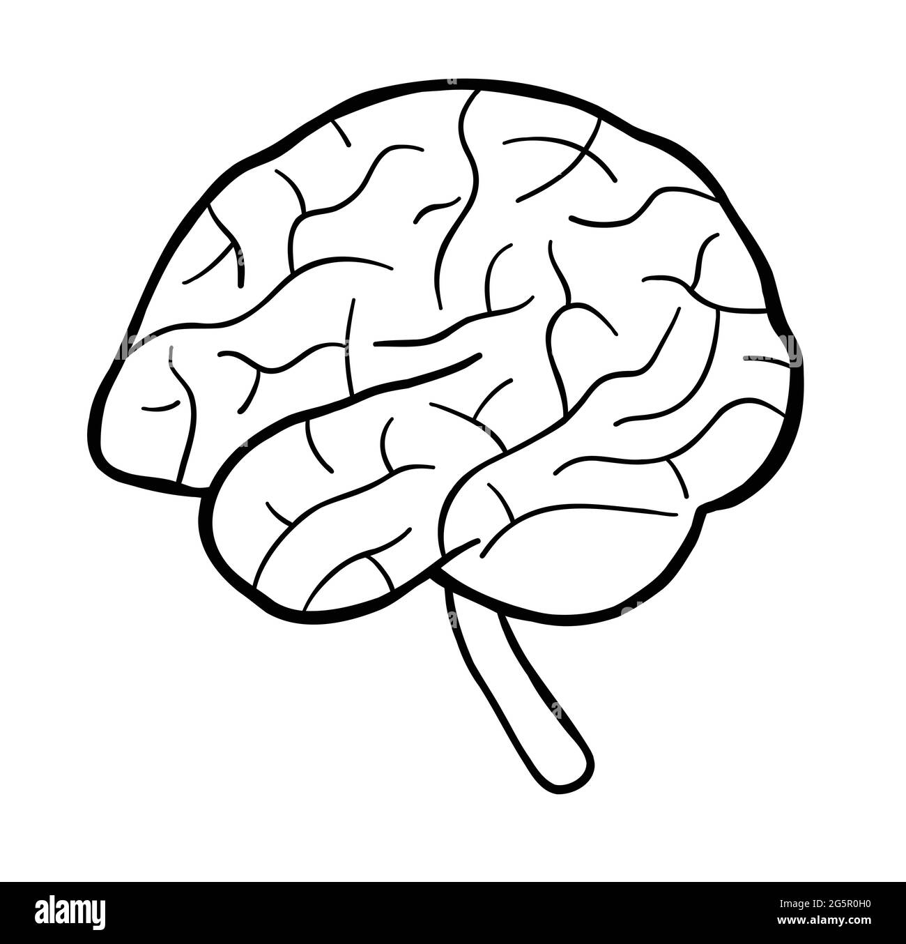 Cartoon vector illustration of human brain. Black outlined and white  colored Stock Vector Image & Art - Alamy