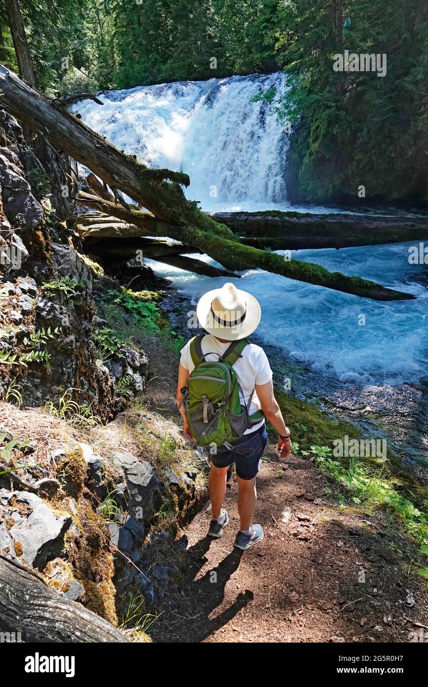 A middle-aged senior citizen hiking in the Cascade Mountains of central Oregon. Stock Photo