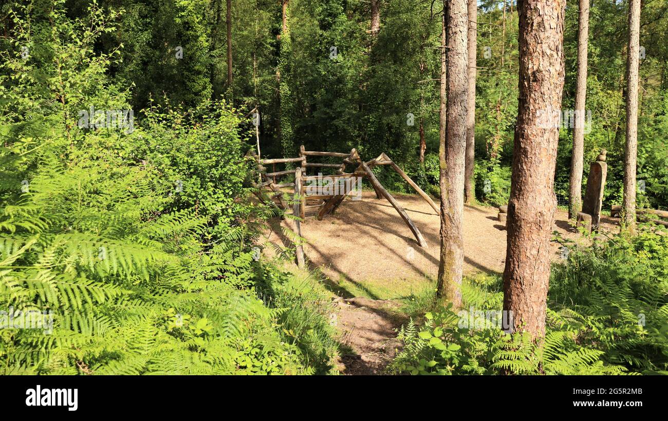 Still life photography, nature life, quiet life, Trees Flowers Woods Stock Photo