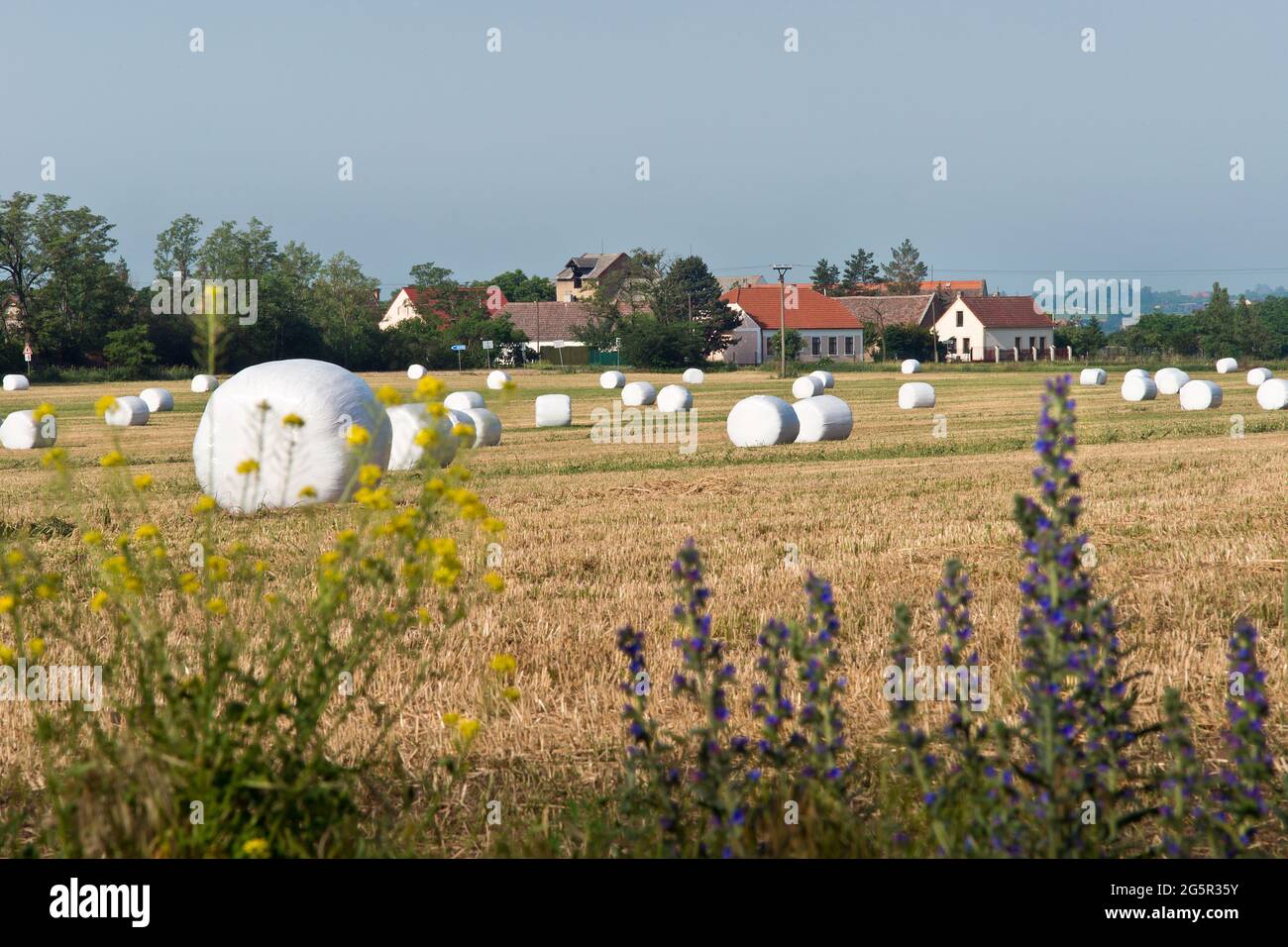 Hay bales in front of a village. Czech Republic. Stock Photo