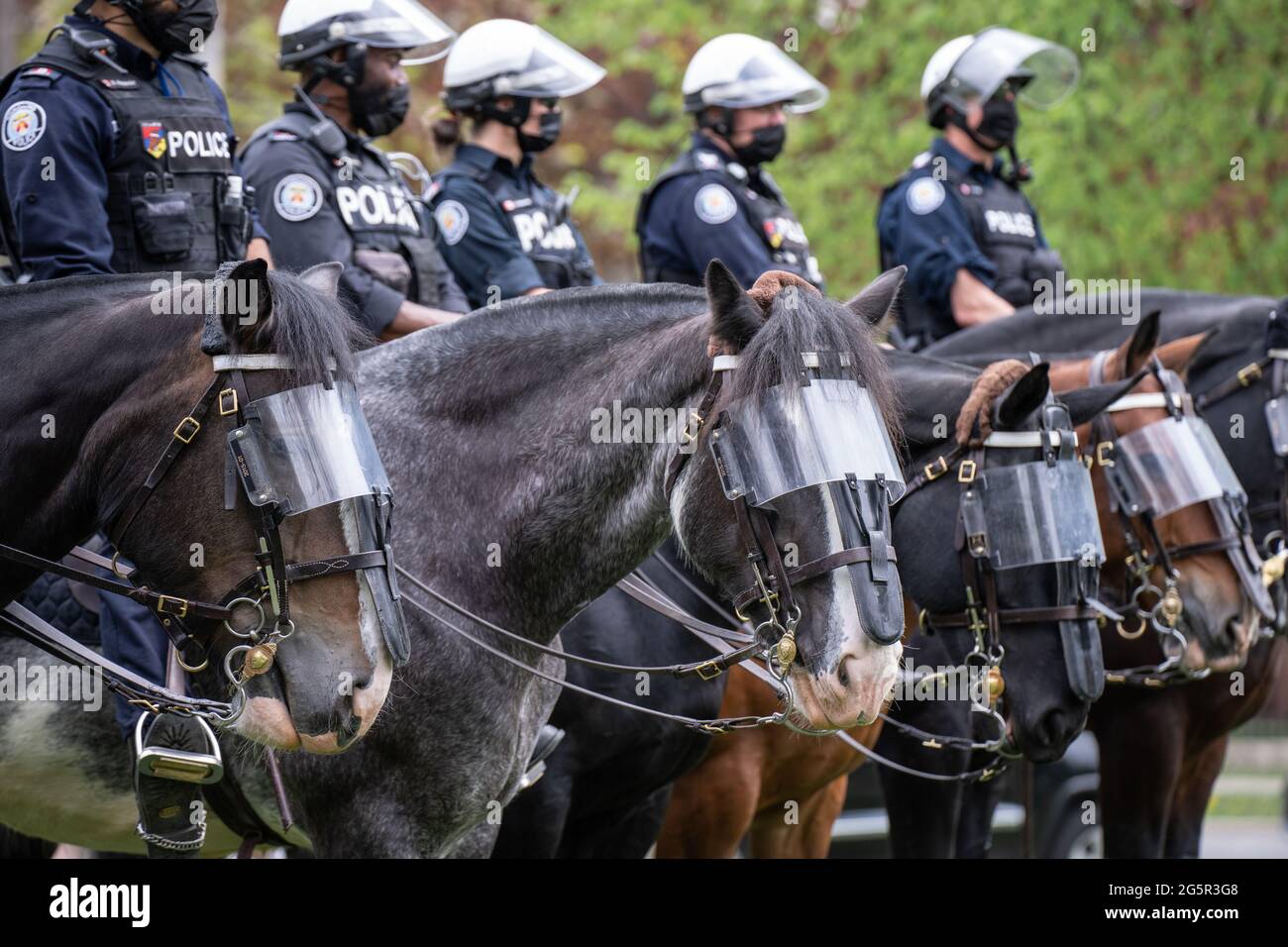 Mounted police officers monitor an anti-lockdown protest at Queen's Park in Toronto, Ontario. Stock Photo