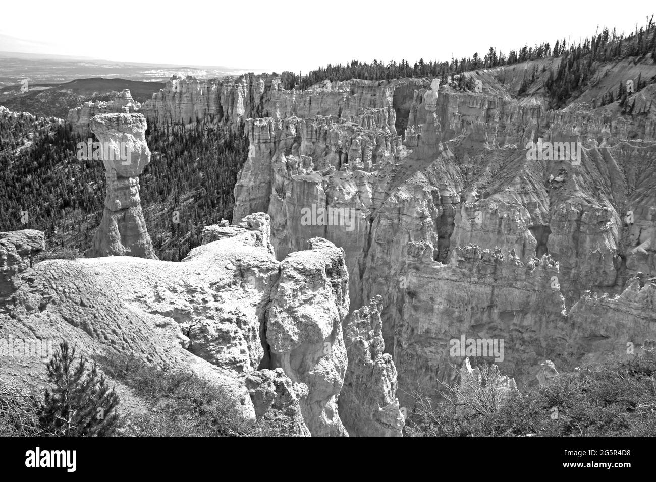 View over Bryce Canyon 2415 BW Stock Photo