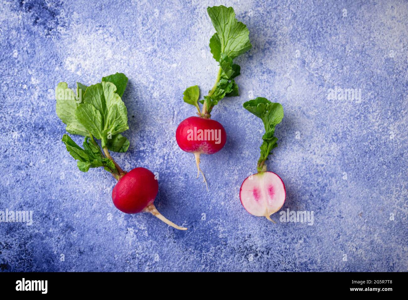 Radish on blue concrete backgrounds Stock Photo