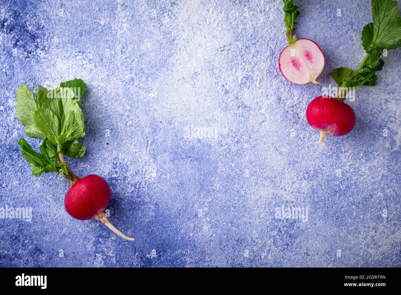 Radish on blue concrete backgrounds Stock Photo