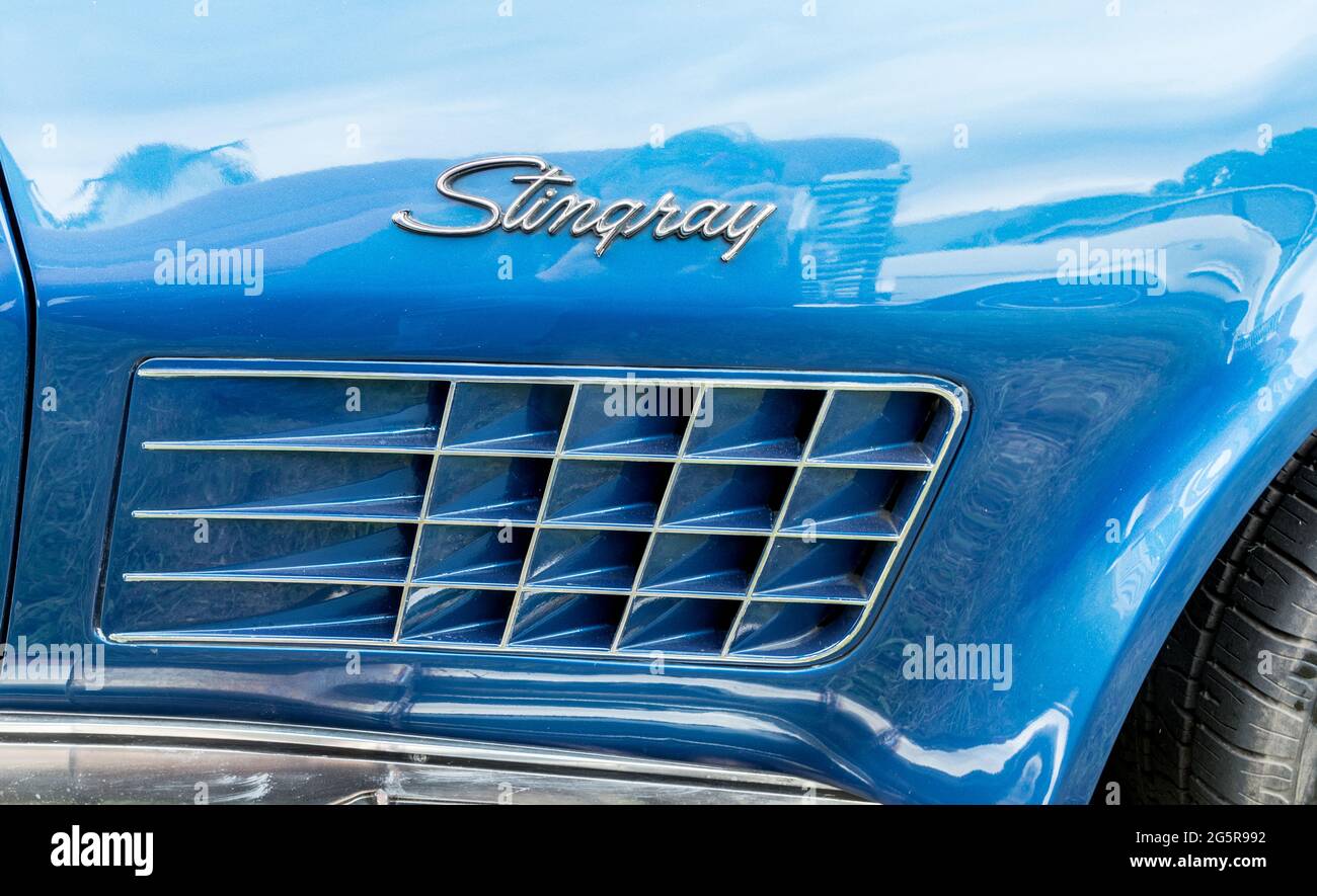 Corvette Stingray At The Classic Car Show Syon Park London 2021 Stock Photo