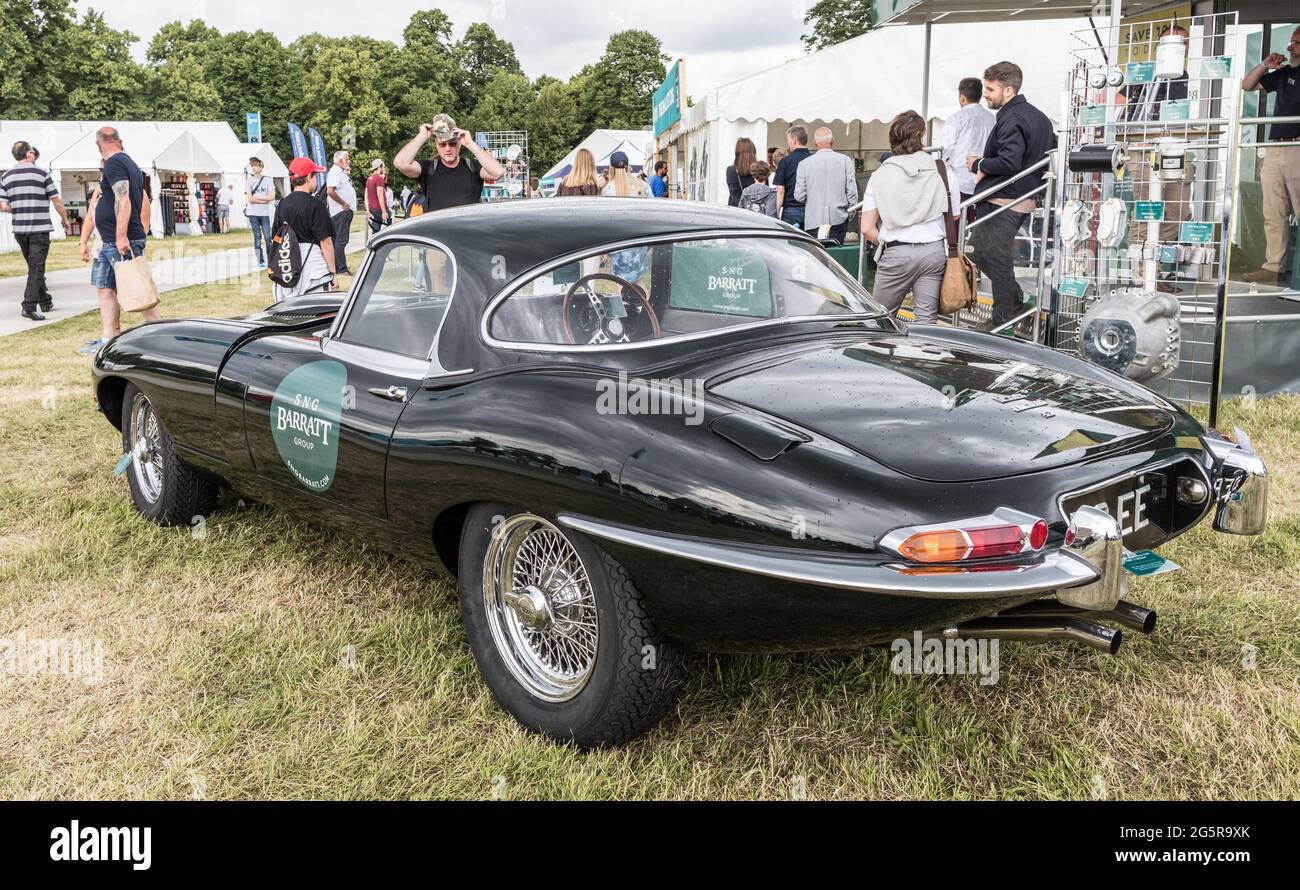E Type Jaguars at The Classic Car Show Syon Park London 2021 Stock