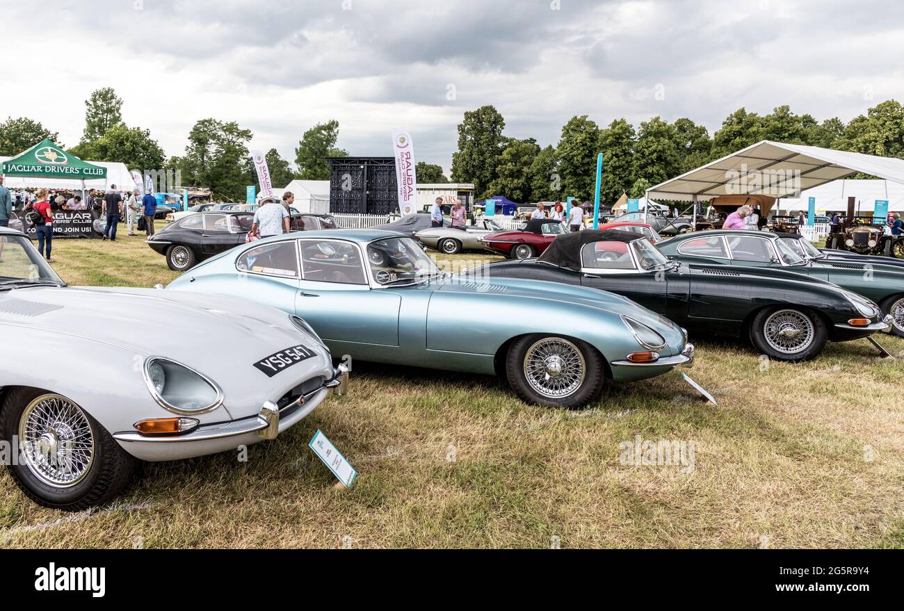 E Type Jaguars at The Classic Car Show Syon Park London 2021 Stock