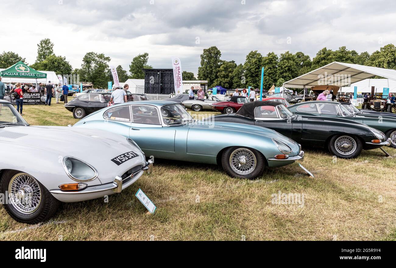 E Type Jaguars at The Classic Car Show Syon Park London 2021 Stock Photo