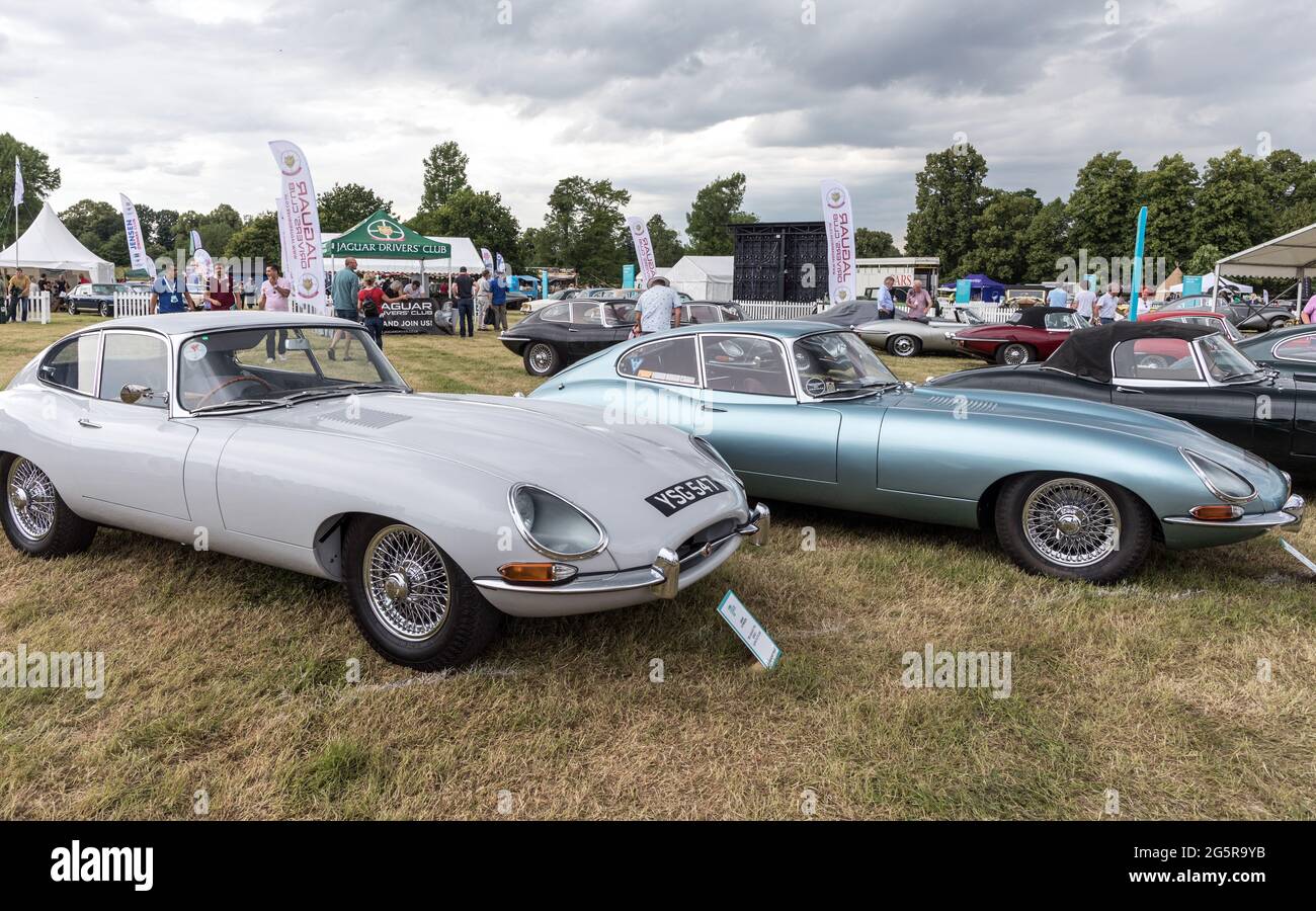 E Type Jaguars at The Classic Car Show Syon Park London 2021 Stock