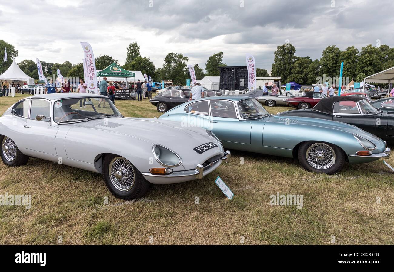 E Type Jaguars at The Classic Car Show Syon Park London 2021 Stock Photo