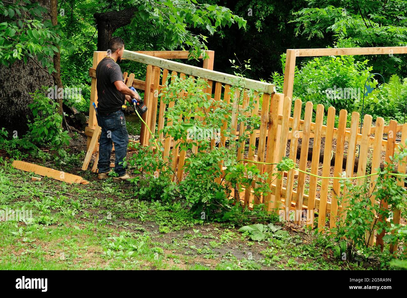 Worker installing back yard dog fence. Stock Photo