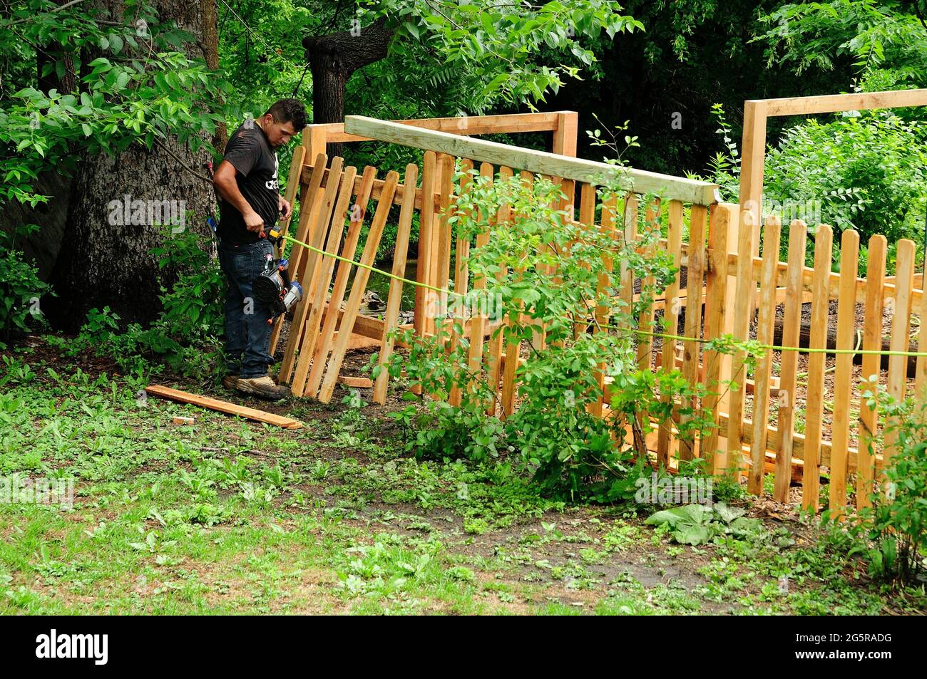 Worker installing back yard dog fence. Stock Photo