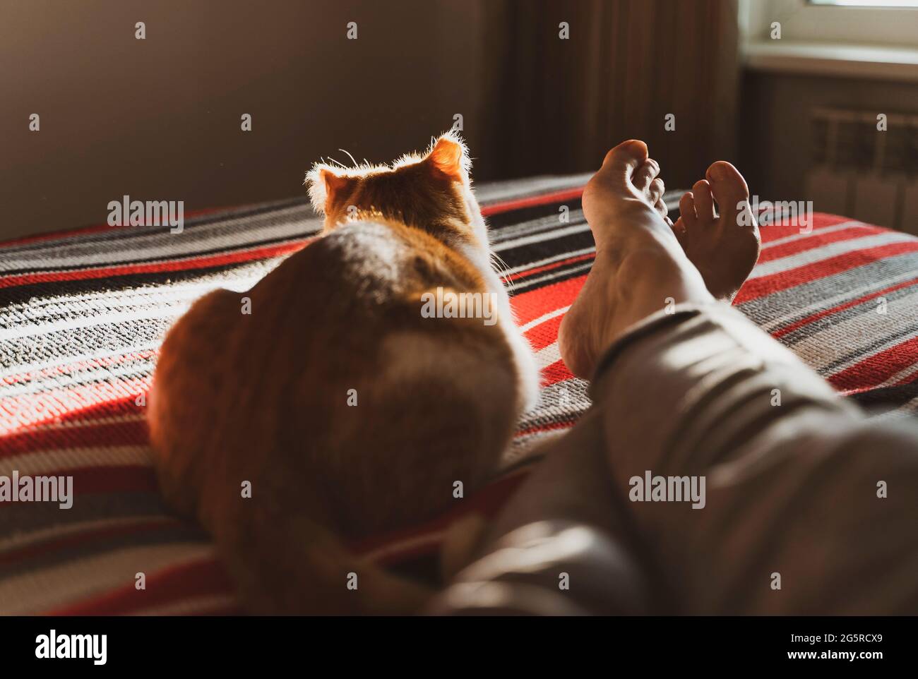 lying and relaxing in bed with cat Stock Photo