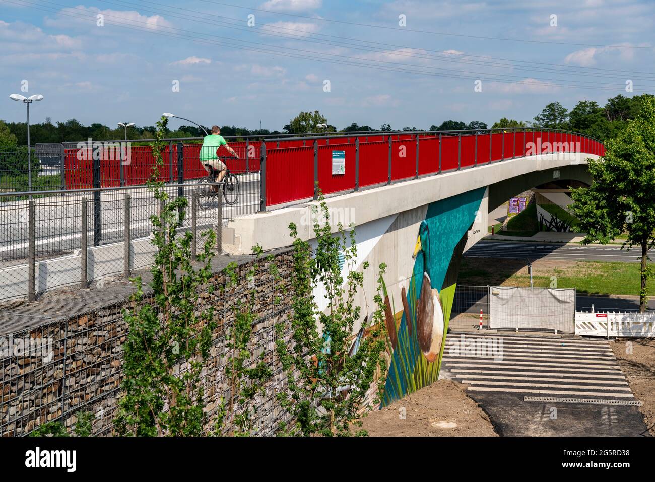 New cycle and pedestrian bridge, section of the RS1, Radschnellweg Ruhr, over Berthold-Beitz Boulevard, in Essen, NRW, Germany Stock Photo
