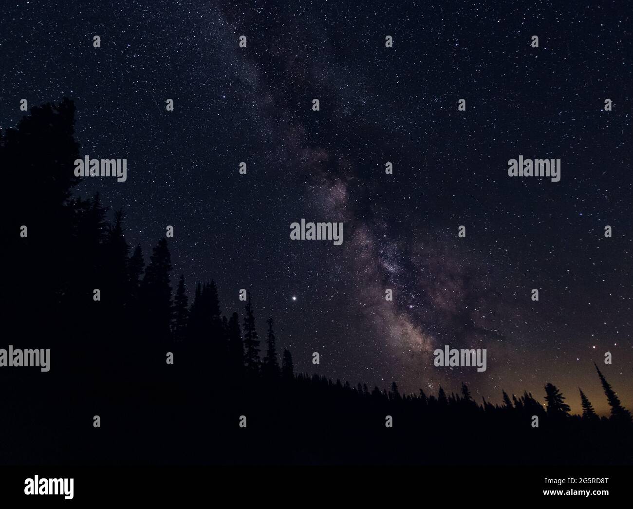 Milky Way Galaxy in Night Sky Over Tree Silhouettes Stock Photo - Alamy