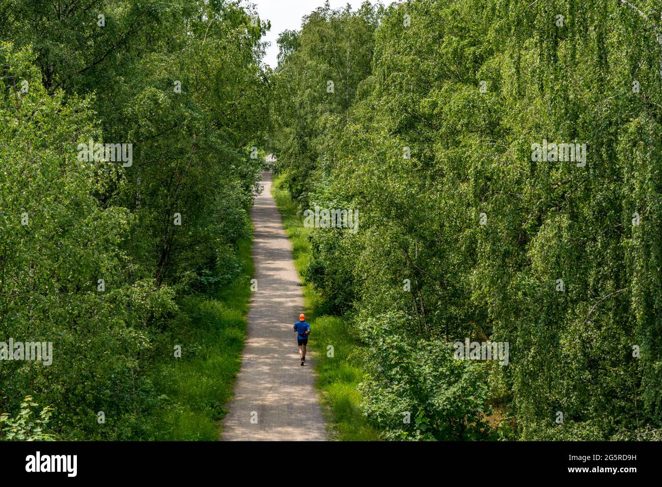 Gleispark Frintrop, former railway site, marshalling yard closed in 1987, now landscape park, on the city border with Oberhausen, part of the Emscher Stock Photo