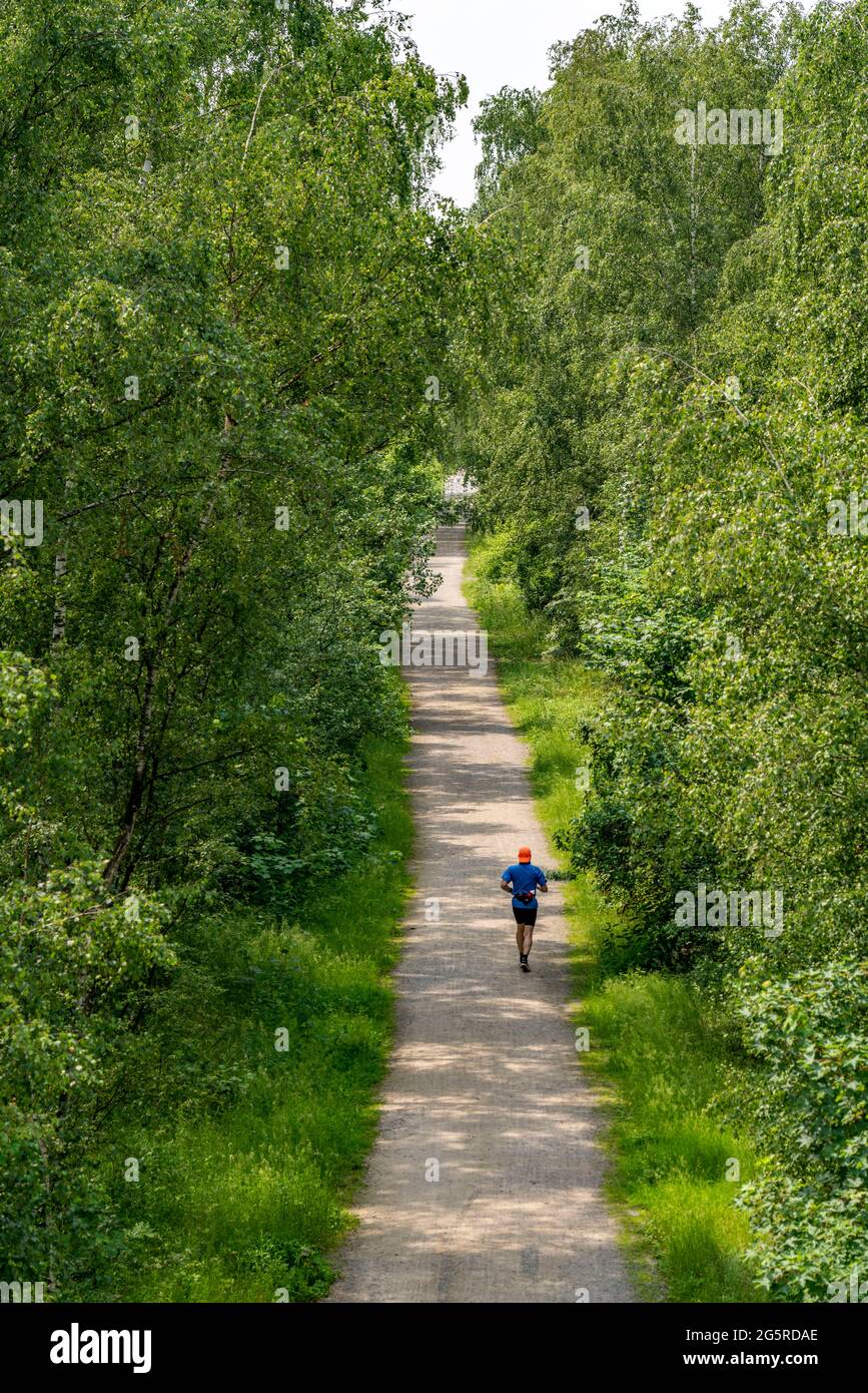 Gleispark Frintrop, former railway site, marshalling yard closed in 1987, now landscape park, on the city border with Oberhausen, part of the Emscher Stock Photo