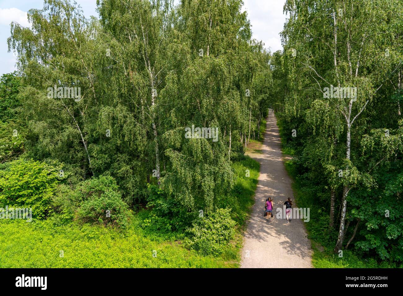 Gleispark Frintrop, former railway site, marshalling yard closed in 1987, now landscape park, on the city border with Oberhausen, part of the Emscher Stock Photo