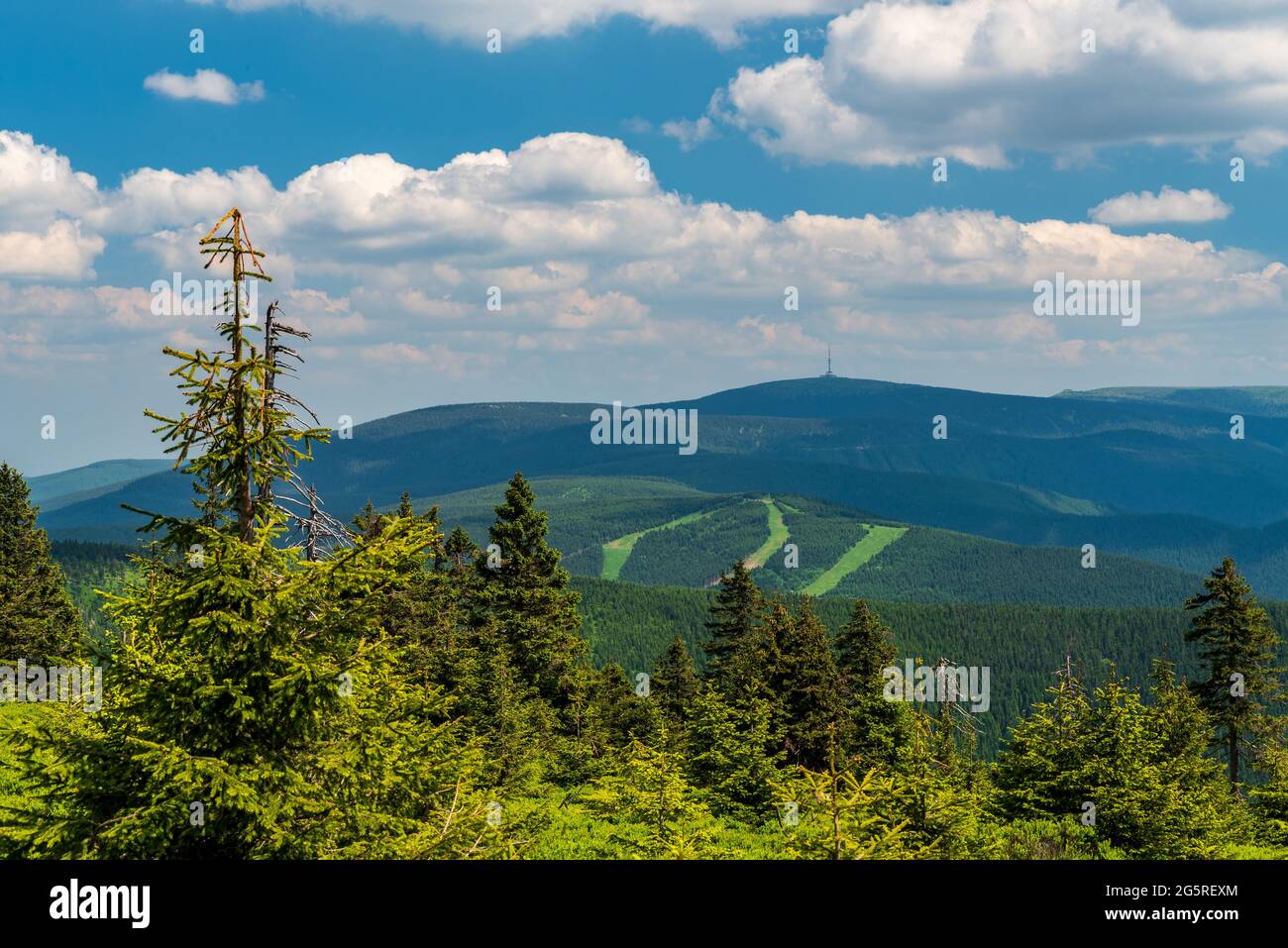 Ski slopes on Cervenohorske sedlo and Praded hill from Spaleny vrch hill summit in Jeseniky mountains in Czech republic during beautiful afternoon wit Stock Photo