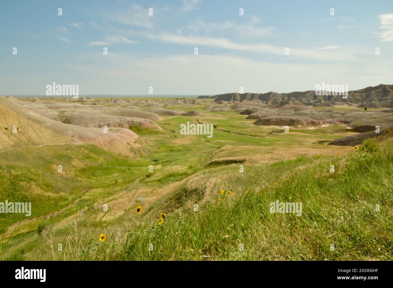 Yellow Mounds in the Badlands National Park, with Eroded Buttes, Grasslands and Pinnacles in South Dakota, USA Stock Photo
