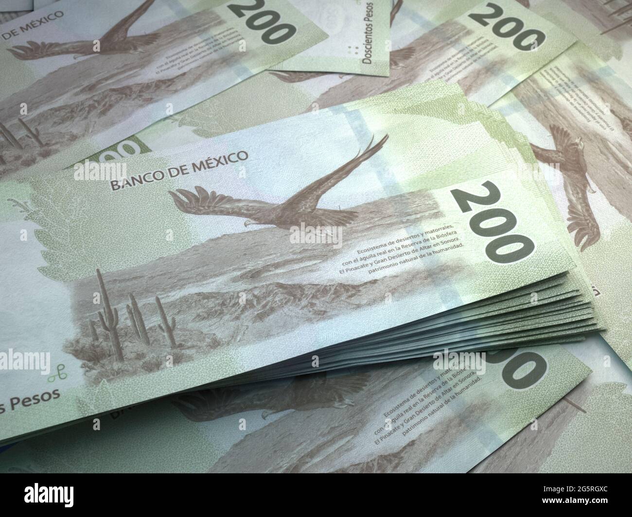 Money of Mexico. Mexican peso bills. MXN banknotes. 200 pesos. Business, finance, news background. Stock Photo
