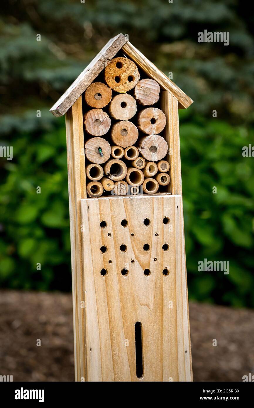 Insect box attracts beneficial insects to a garden Stock Photo Alamy