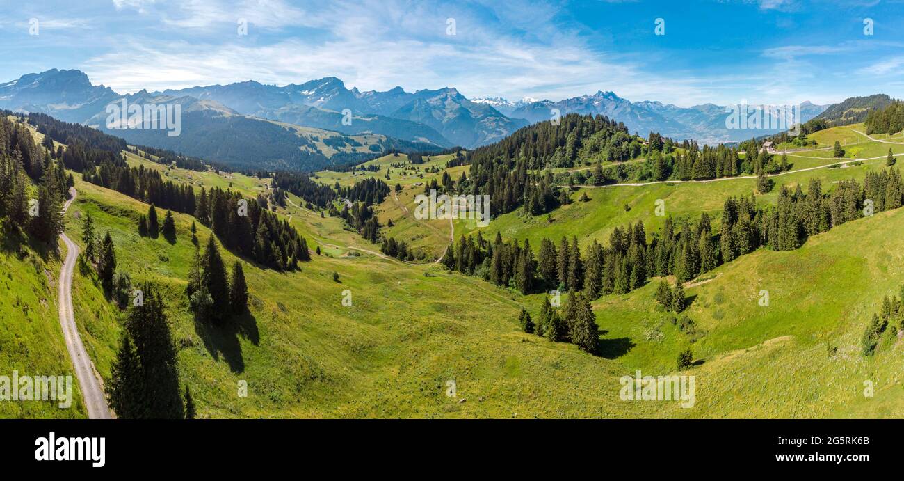 The Alps seen from the Col-de-Bretaye Stock Photo