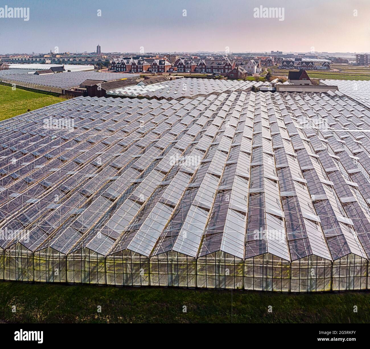The greenhouses area of Holland Stock Photo Alamy