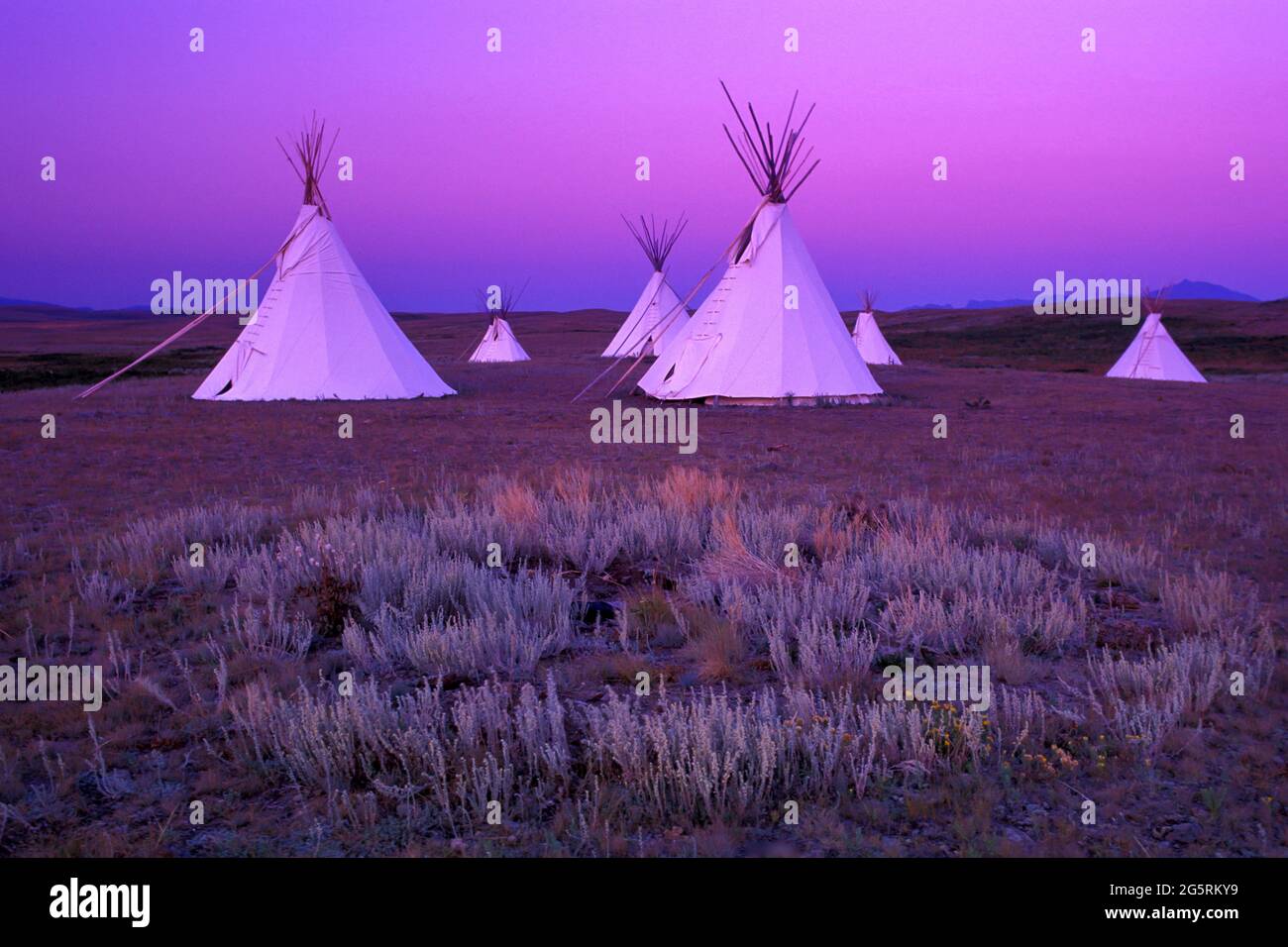 Blackfeet Tipi Camp, at Lodgepole Gallery, Browning, Montana, USA Stock