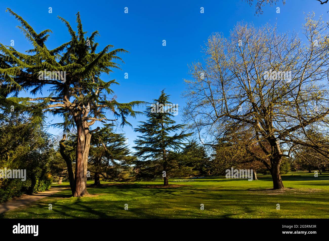 England, London, Greenwich, Greenwich Park, The Flower Garden, Trees
