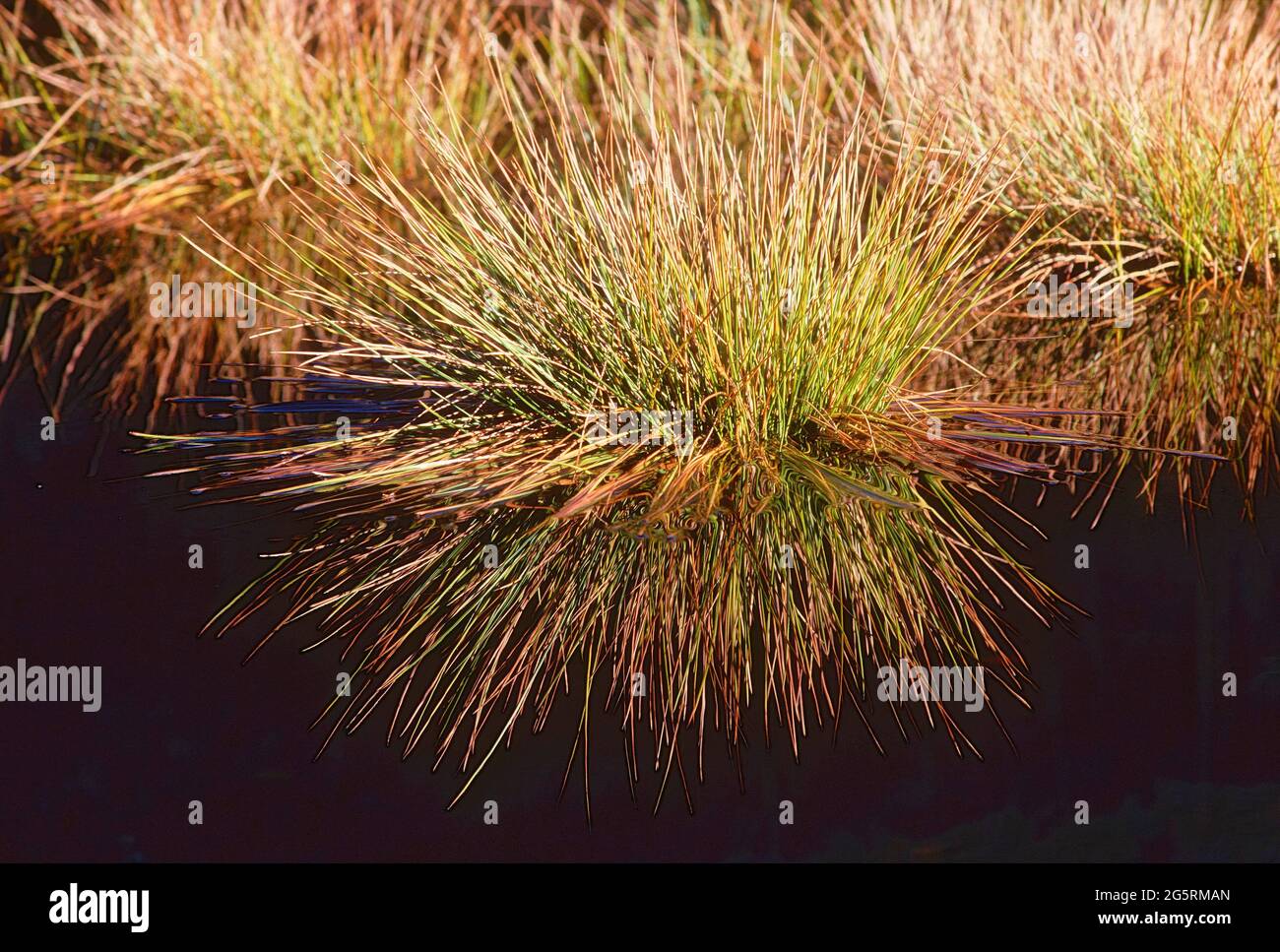 Spiegelungen hires stock photography and images Alamy
