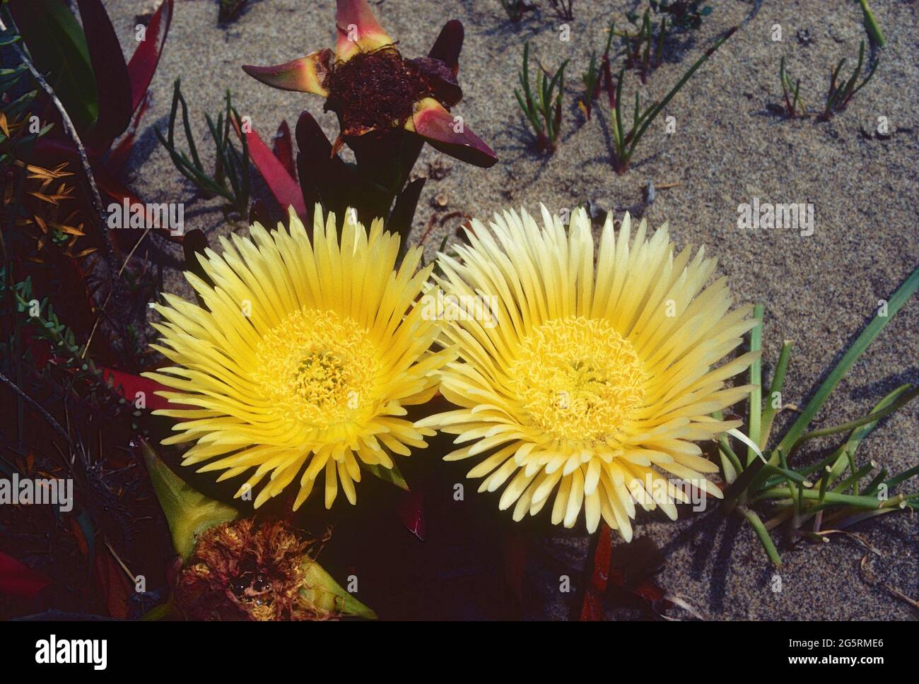 Ursprung hi-res stock photography and images