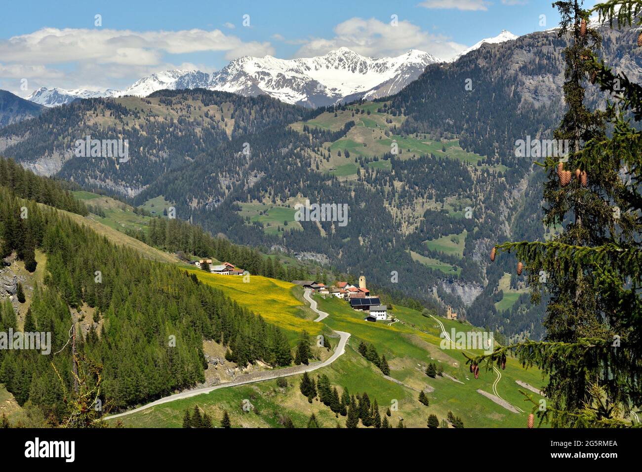 Mathon, Dorf, Schamserberg, Schons, Berg, Scheseplana, Schnee, Kanton Graubünden, Schweiz Stock Photo