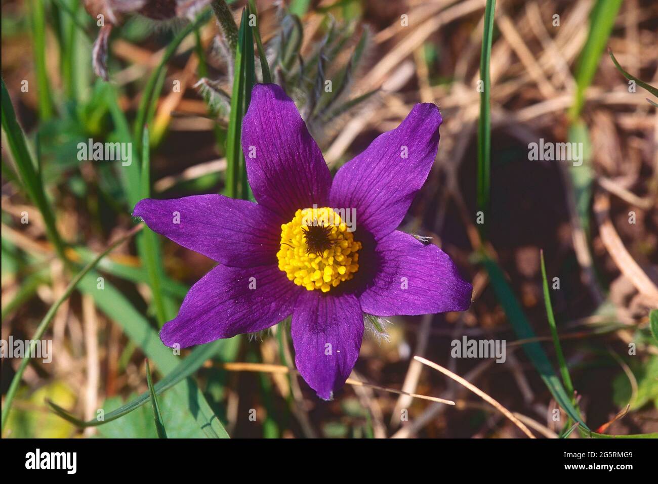 Kanton Aargau High Resolution Stock Photography and Images - Alamy