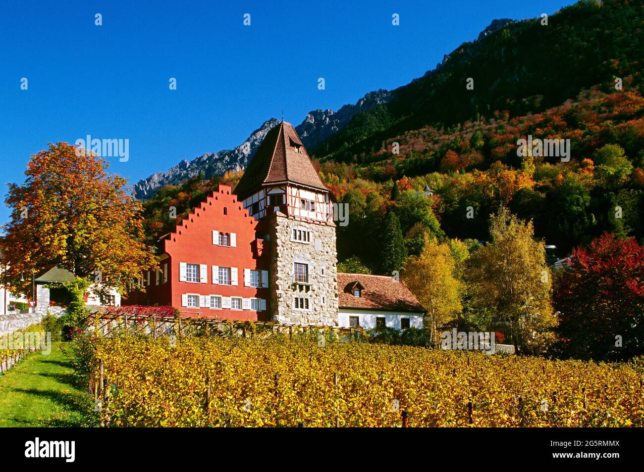 Rotes Haus, Vaduz, Lichtenstein, Torkelgebäude, Turm, Rebberg Stock Photo