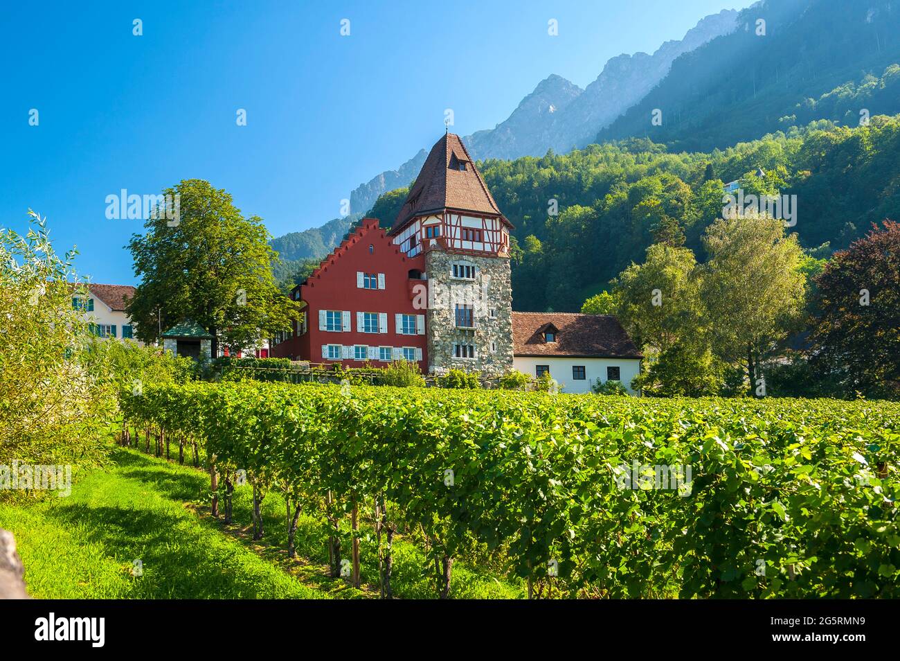 Rotes Haus, Vaduz, Rebberg Stock Photo