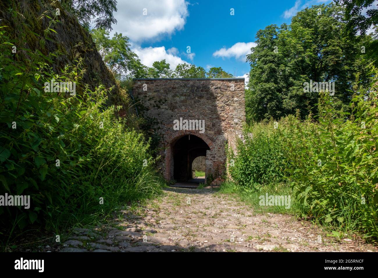 Burg Donaustauf Burgruine, Bezirk Landkreis Regensburg, Oberpfalz