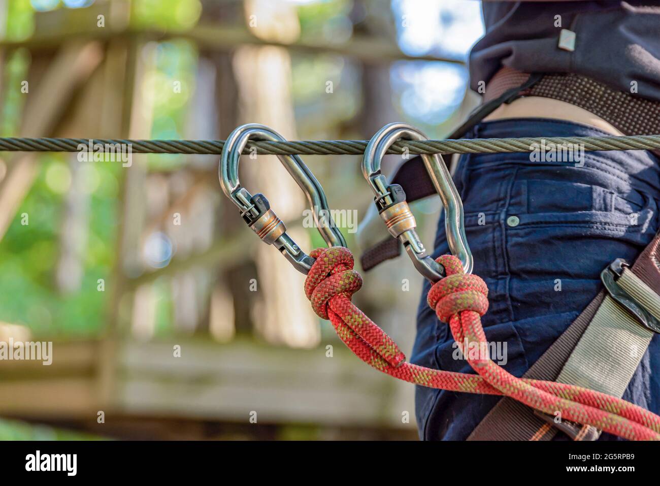 Forest Adventure Park. The woman fastens her carabiner and uses the climbing equipment. Overcome obstacles in the forest adventure park. Banner for Stock Photo