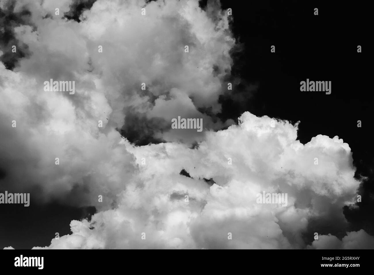 Dark sky with birds flying among dramatic clouds as background (Black and White) Stock Photo