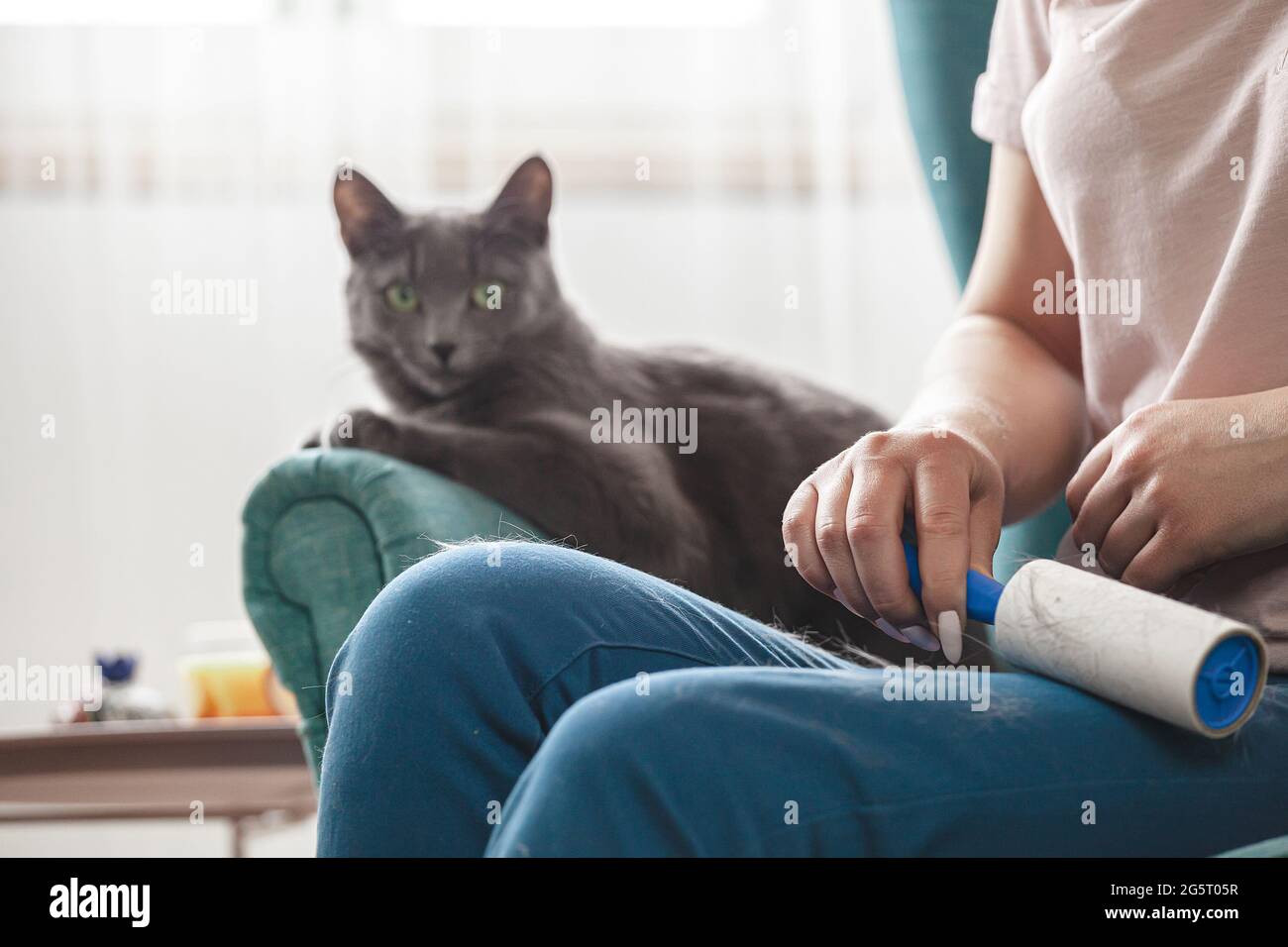 Woman cleaning clothes with sticky roller from cats hair.Cleanin Stock