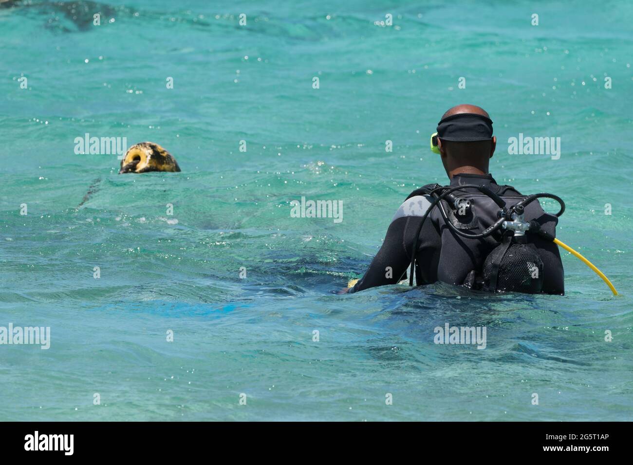 scuba diver entering turquoise blue sea water concept water sport or recreational activity on a Summer holiday or vacation Stock Photo