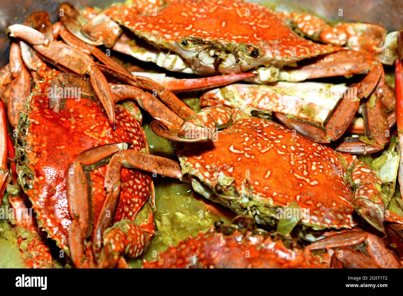 Steamed blue crabs in a cooking pot, lovely seafood with spicy sauce