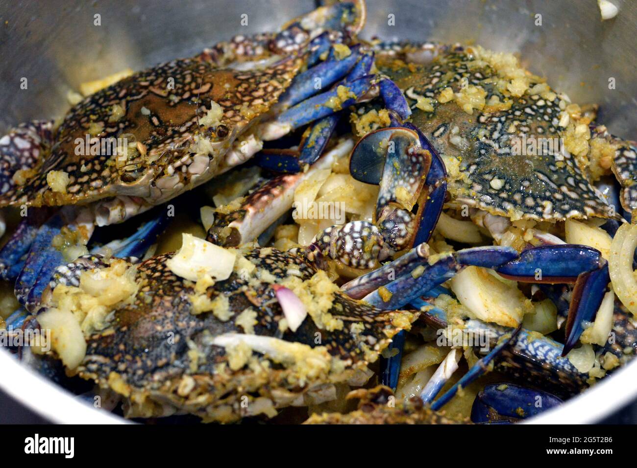 Fresh Blue Crabs in stainless Pot ready to be cooked on hot steam with